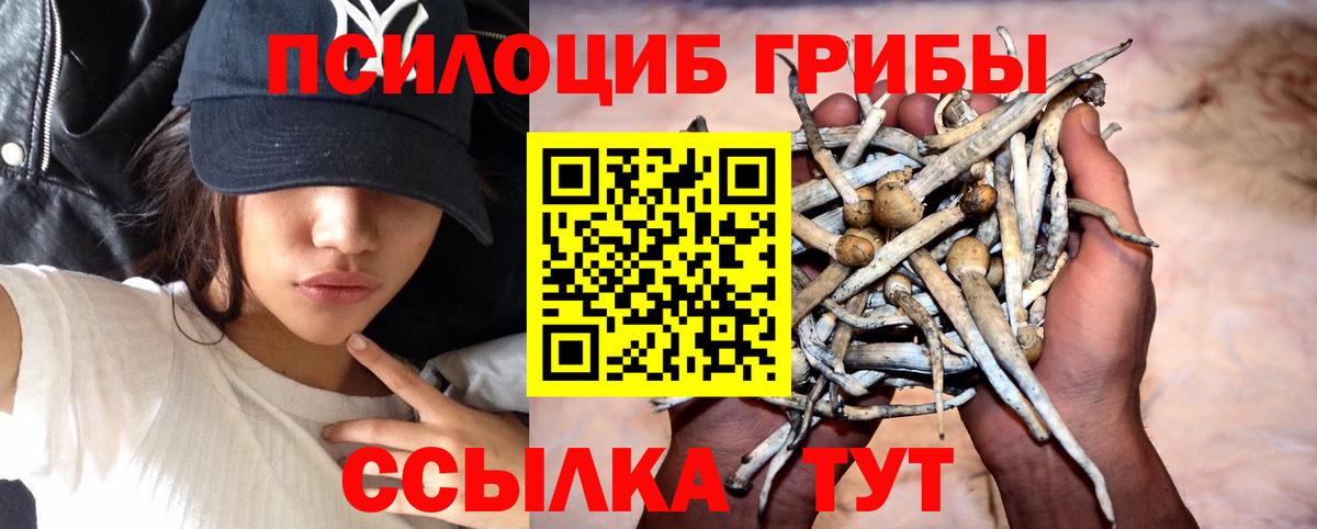 Галлюциногенные грибы мухоморы Нарьян-Мар